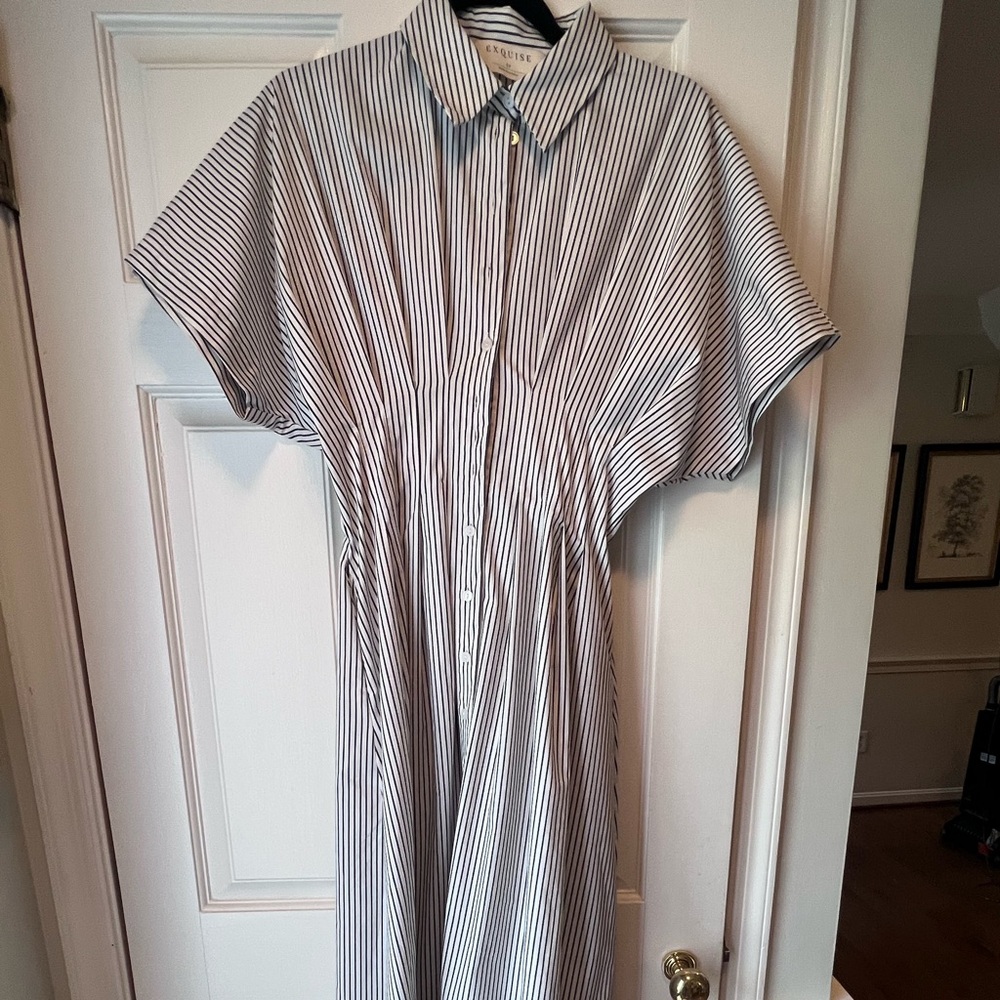 Anthropologie Exquise The Tobie Shirt Dress